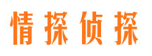 墨玉侦探公司